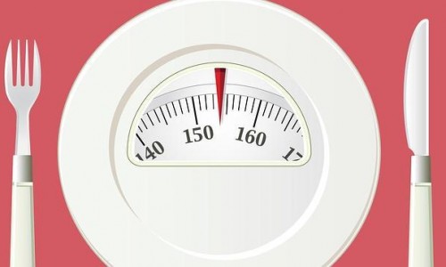 Un «Gran Hermano» para prevenir la obesidad en Europa