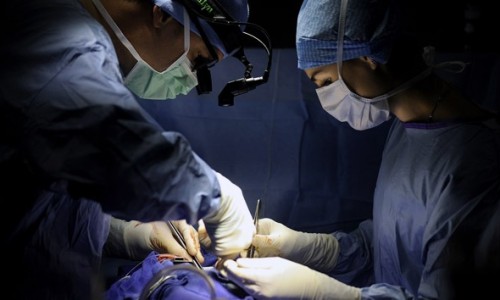 Científicos suecos presentan una manera revolucionaria de tratar el cáncer