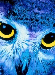 ¡Estudiá Sueco Fácil En 2015! Primer Curso Para Principiantes: Martes de 19 a 20.30