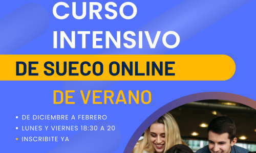 SUECO INTENSIVO ONLINE – VERANO 2023-2024